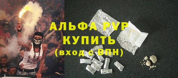 ECSTASY Богородицк